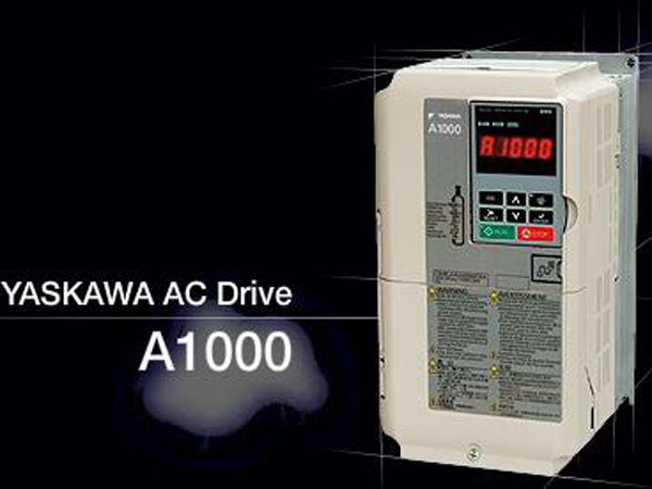 A1000Ƶ